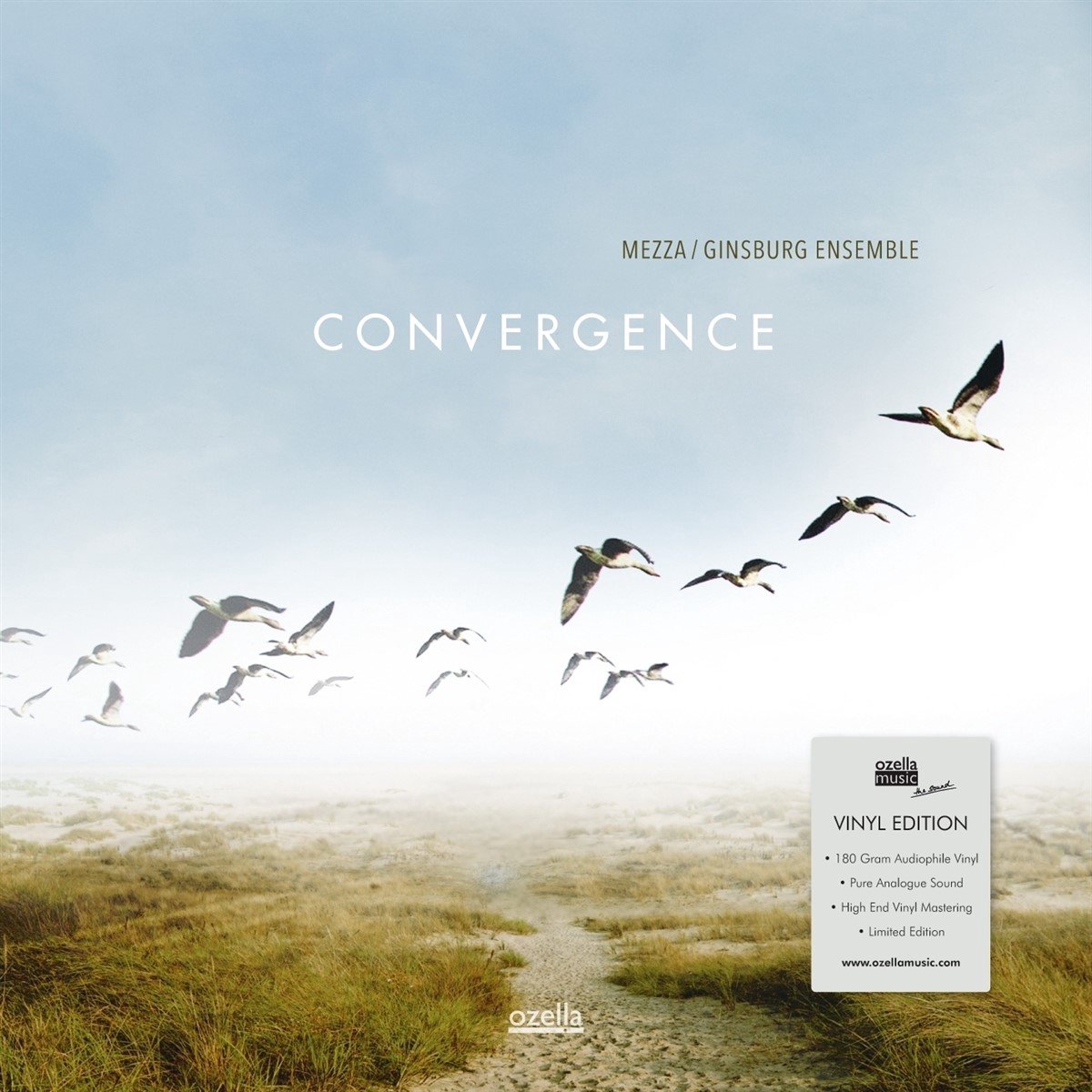 Mezza/Ginsburg Ensemble - Convergence (LP) (Limited Edition)