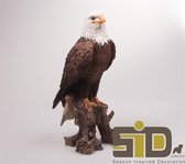 Vogel adelaar polyresin 15x14x36 cm