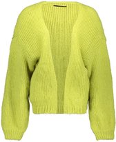 Vero Moda Vest Vmmaybe Ls Open Cardigan Ga Bf 10253091 Green Banana Dames Maat - XL