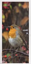 Deursticker Takken - Roodborstje - Natuur - 95x235 cm - Deurposter
