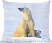 Sierkussen - Ijsbeer Sneeuw Welpen - Multicolor - 40 Cm X 40 Cm