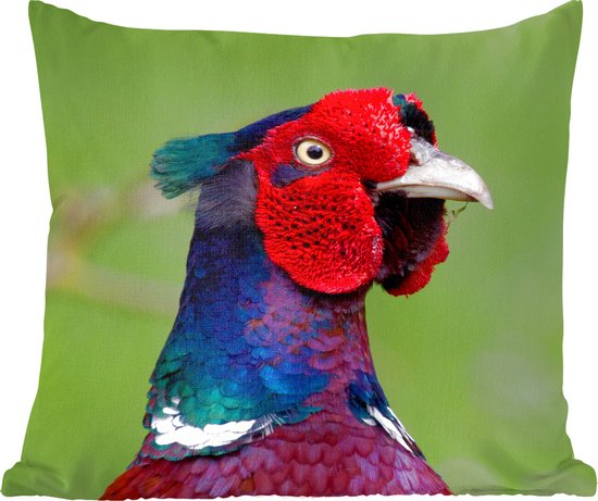 Sierkussens - Kussen - Kleurrijke en volwassen fazant maakt geen oogcontact met de cameraman - 45x45 cm - Kussen van katoen