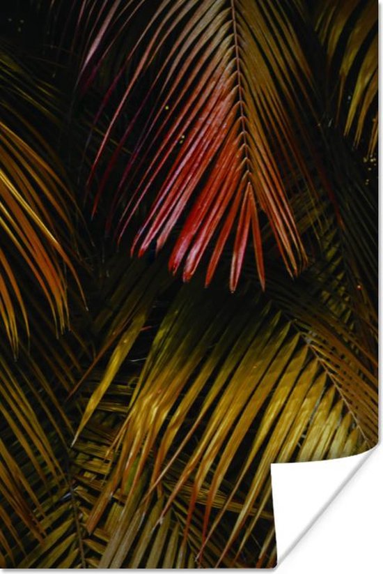 Poster Jungle - Rood - Goud -Palmblad - 80x120 cm