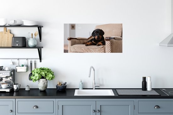 Stickers muraux - Film autocollant - Chiot Rottweiler mignon assis sur une chaise - 80x40 cm - Film adhésif - Stickers muraux chambre d'enfant - Papier peint autocollant - Papier peint autocollant - Film autocollant