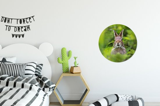 Wall Circle - Wall Circle Indoor - Lapin - Herbe - Vert - ⌀ 30 cm - Décoration murale - Peintures Ronds