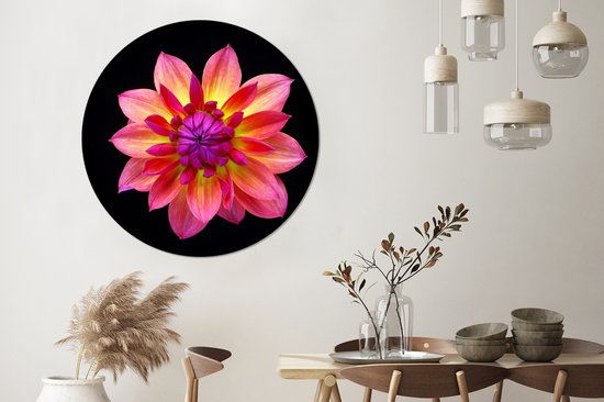 Un gros plan de la fleur de dahlia multicolore sur fond noir Cercle mural aluminium ⌀ 120 cm - tirage photo sur cercle mural / cercle vivant / cercle jardin (décoration murale) XXL / Groot format!