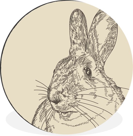 WallCircle - Cercle mural - Cercle mural - Illustration Vintage d'un lapin - Aluminium - Dibond - 120x120 cm - Intérieur et Extérieur XXL