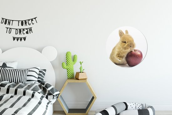 Cercle Mural - Cercle Mural Intérieur - Lapin - Bébé - Pomme - ⌀ 30 cm - Décoration murale - Peintures Ronds
