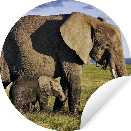 WallCircle - Muurstickers - Behangcirkel - Éléphant - Animaux - Savane - Vert - Grijs - ⌀ 120 cm - Muurcirkel - Autocollant - Sticker Mural Rond XXL