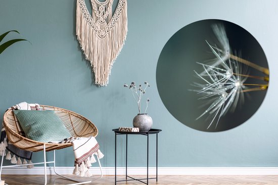 Graines de pissenlit recouvertes d'autocollant de papier peint de cercle de mur de rosée précoce ⌀ 140 cm / cercle de papier peint / cercle de mur / cercle vivant - autocollant et coupe ronde