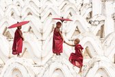 Curious monks – 120cm x 80cm - Fotokunst op PlexiglasⓇ incl. certificaat & garantie.
