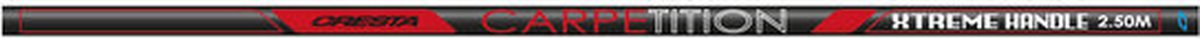 Cresta Carpetition Xtreme Handle - Schepnetstok - 3.2m