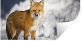 Stickers Stickers muraux - Renard - Neige - Rouge - 80x40 cm - Feuille adhésive