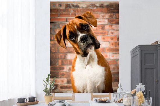 Stickers muraux - Film autocollant - Boxer regarde en diagonale vers la caméra - 120x160 cm - Film adhésif - Stickers muraux chambre d'enfant - Papier peint autocollant XXL - Papier peint autocollant - Film autocollant