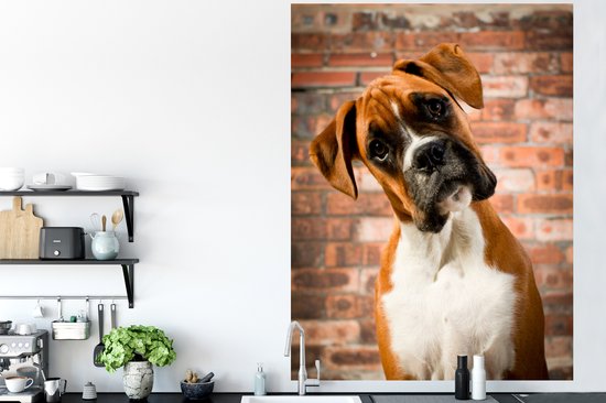 Stickers muraux - Film autocollant - Boxer regarde en diagonale vers la caméra - 120x160 cm - Film adhésif - Stickers muraux chambre d'enfant - Papier peint autocollant XXL - Papier peint autocollant - Film autocollant