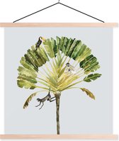Porte-affiche avec affiche - Affiche scolaire - Jungle - Singe - Toucan - 40x40 cm - Lattes vierges