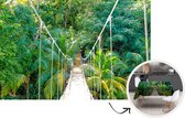 Tafelkleed - Tafellaken - 200x130 cm - Jungle - Palmboom - Brug - Natuur - Planten - Binnen en Buiten