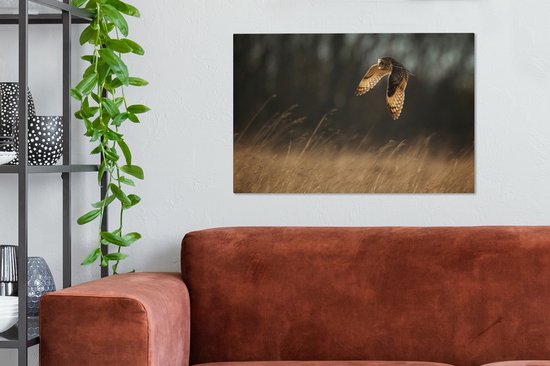 Tableau sur toile Hibou des marais en chasse dans la lumière du soir - 60x40 cm - Décoration murale