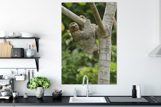 Tableau sur toile Un paresseux accroché à une branche - 90x140 cm - Décoration murale