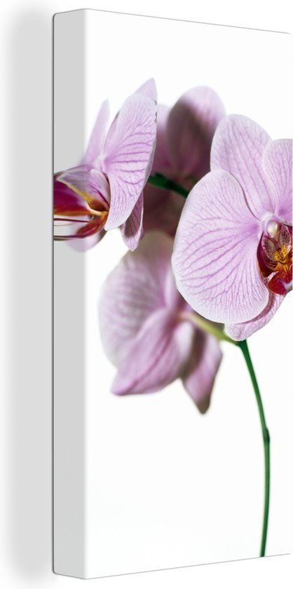 Canvas Schilderij Roze orchideebloem - 20x40 cm - Wanddecoratie