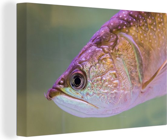 Tableau sur toile Truite aux couleurs brillantes - 180x120 cm - Décoration murale XXL