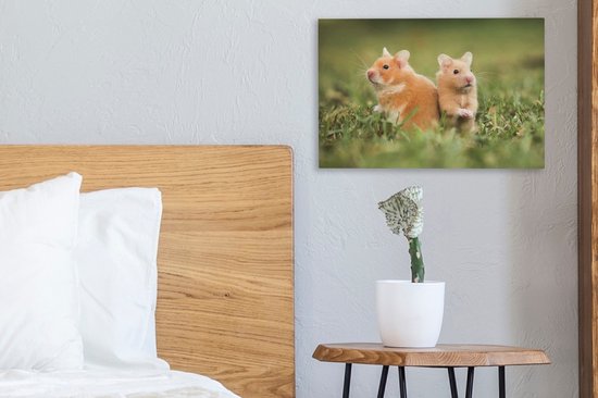 Tableau sur toile Hamsters dorés - 30x20 cm - Décoration murale