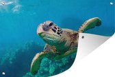 Tuinposter - Tuindoek - Tuinposters buiten - Een schildpad zwemt bij het koraalrif bij Hawaï - 120x80 cm - Tuin