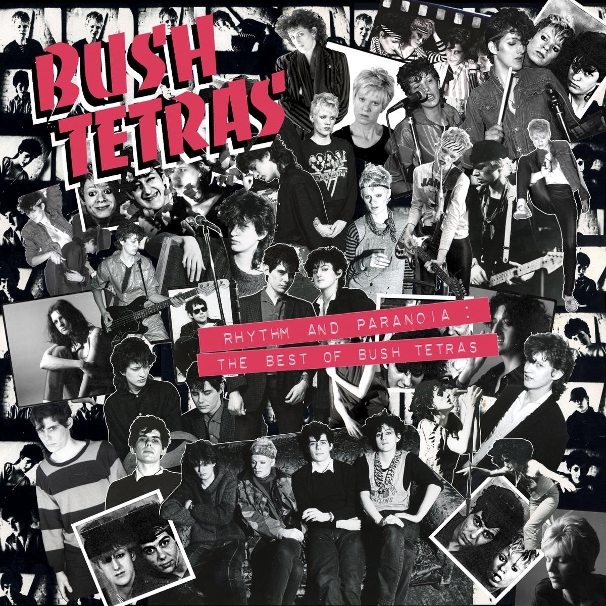 Bush Tetras - Rhythm And Paranoia: The Best Of Bush Tetras (2 CD) (Remastered)