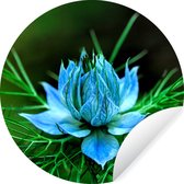 WallCircle - Muurstickers - Behangcirkel - Lichtblauwe nigella bloemen - ⌀ 140 cm - Muurcirkel - Zelfklevend - Ronde Behangsticker
