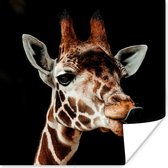 Poster Giraffe - Dieren - Zwart - 30x30 cm