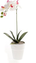 Kunstbloem Orchidee struik 40cm wit/beauty in witte pot 10cm