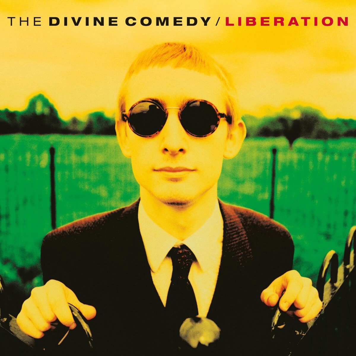 The Divine Comedy - Liberation (LP) (Remastered)