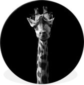 WallCircle - Wandcirkel - Muurcirkel - Giraffe met bril op zwarte achtergrond - zwart wit - Aluminium - Dibond - ⌀ 30 cm - Binnen en Buiten