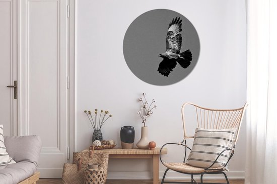 WallCircle - Wandcirkel - Muurcirkel - Buizerd beeldt zich af tegen de heldere hemel - zwart wit - Aluminium - Dibond - ⌀ 90 cm - Binnen en Buiten