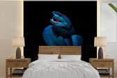 Behang - Fotobehang Blauwe slang met rood oog - Breedte 260 cm x hoogte 260 cm - Behangpapier
