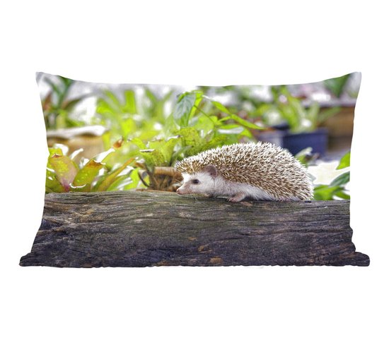 Sierkussen Hérisson pour l'intérieur - Hérisson marche sur une souche d'arbre - 50x30 cm - Coussin intérieur rectangulaire en coton
