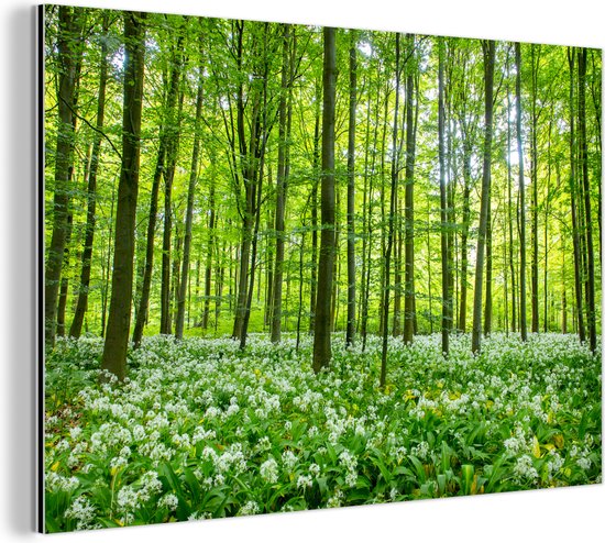 Wanddecoratie Metaal - Aluminium Schilderij Industrieel - Bos - Bomen - Groen - 60x40 cm - Dibond - Foto op aluminium - Industriële muurdecoratie - Voor de woonkamer/slaapkamer