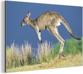 Jumping kangaroo Aluminium 90x60 cm - Tirage photo sur aluminium (décoration murale en métal)