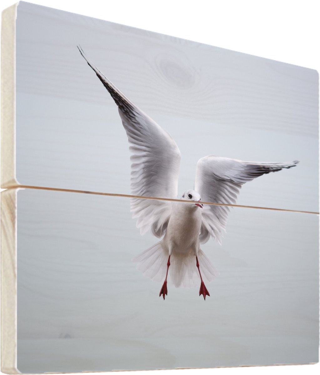 Vogel van papier vouwen: Origami handleiding voor een papegaai