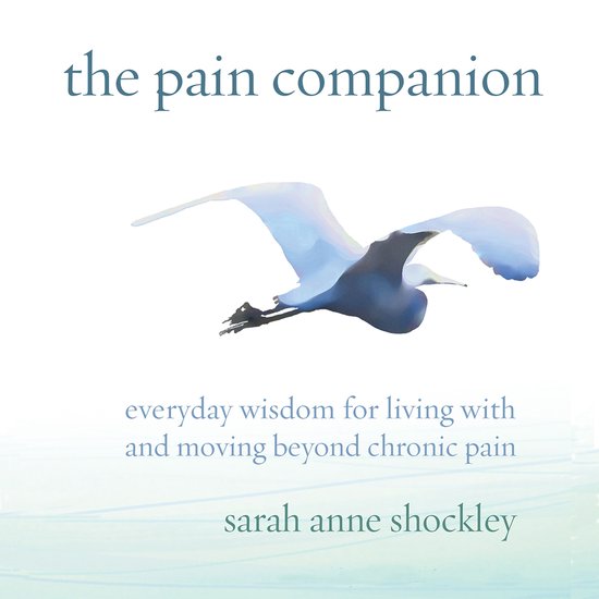 The Pain Companion - cover