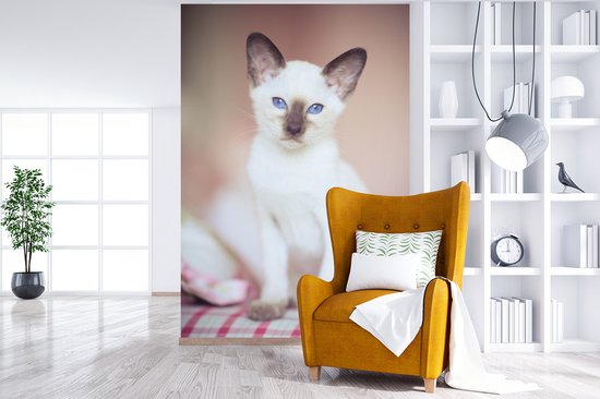 Behang - Fotobehang Witte Siamese kat op een tafelkleed - Breedte 180 cm x hoogte 280 cm