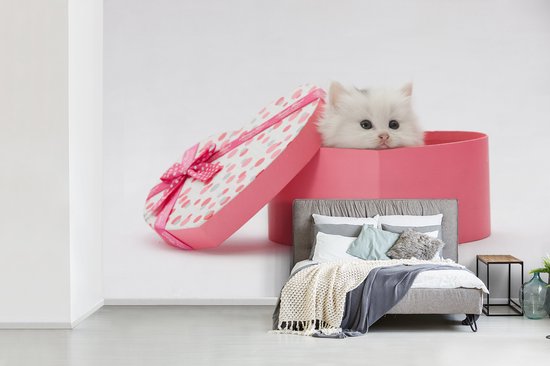 Papier peint photo vinyle - Un gros plan d'un chaton d'un présent largeur 450 cm x hauteur 300 cm - Tirage photo sur papier peint (disponible en 7 tailles)