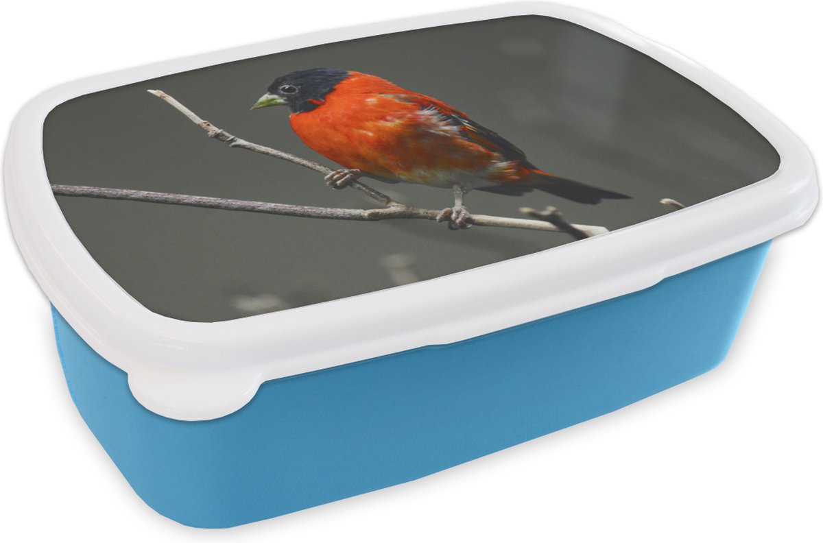 Broodtrommel Blauw - Lunchbox - Brooddoos - Vogel - Rood - Tak - 18x12x6 cm - Kinderen - Jongen
