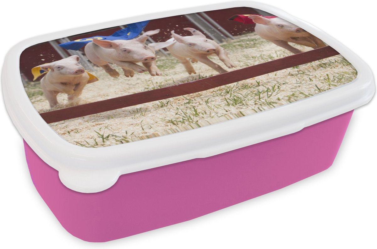 Broodtrommel Roze - Lunchbox - Brooddoos - Varken - Cape - Gras - 18x12x6 cm - Kinderen - Meisje