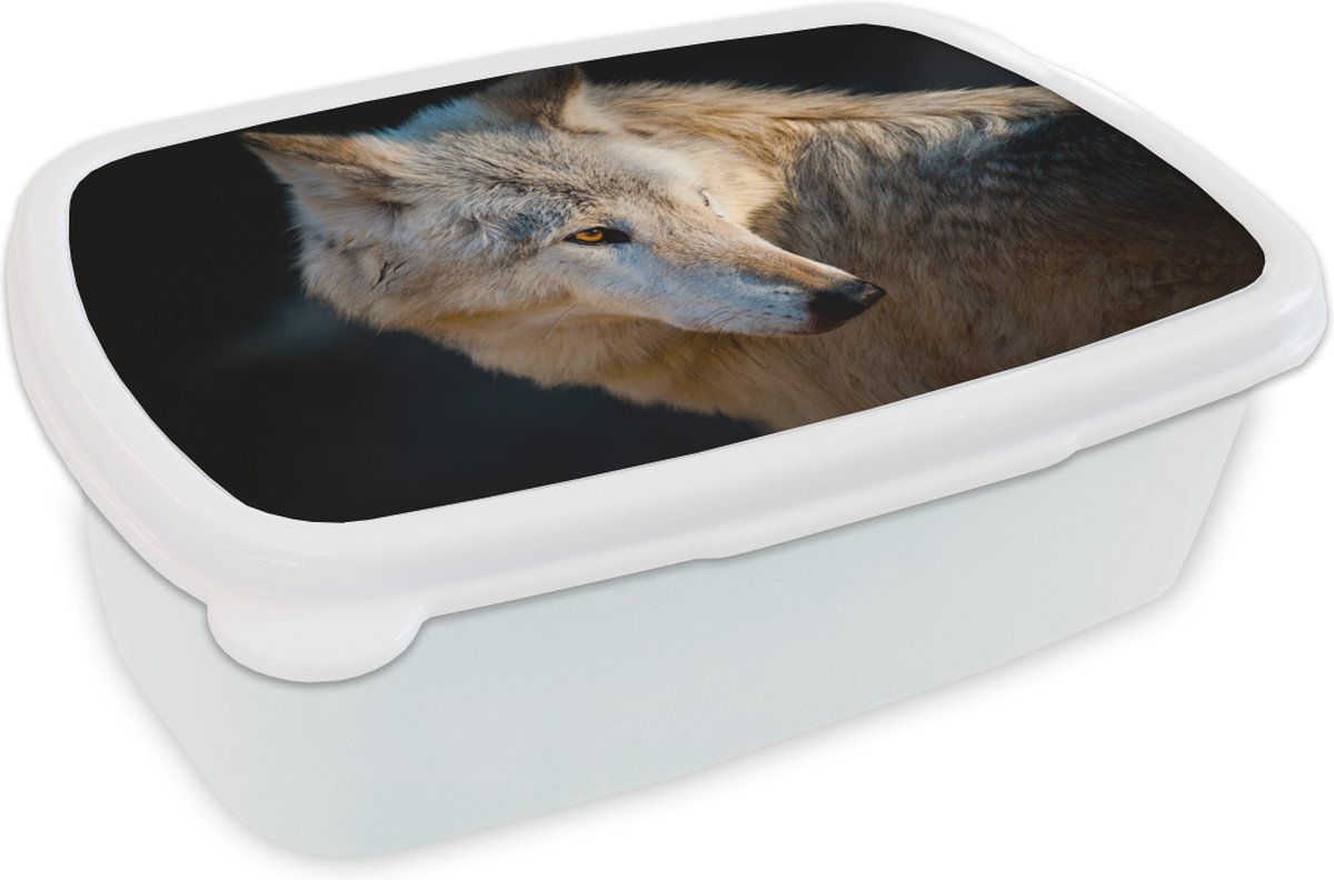Broodtrommel Wit - Lunchbox - Brooddoos - Lichte arctische wolf - 18x12x6 cm - Volwassenen