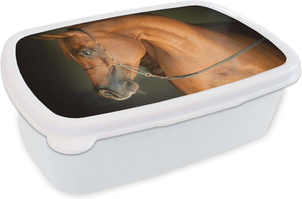 Broodtrommel Wit - Lunchbox - Brooddoos - Paard - Bruin - Hoofdstel - 18x12x6 cm - Volwassenen