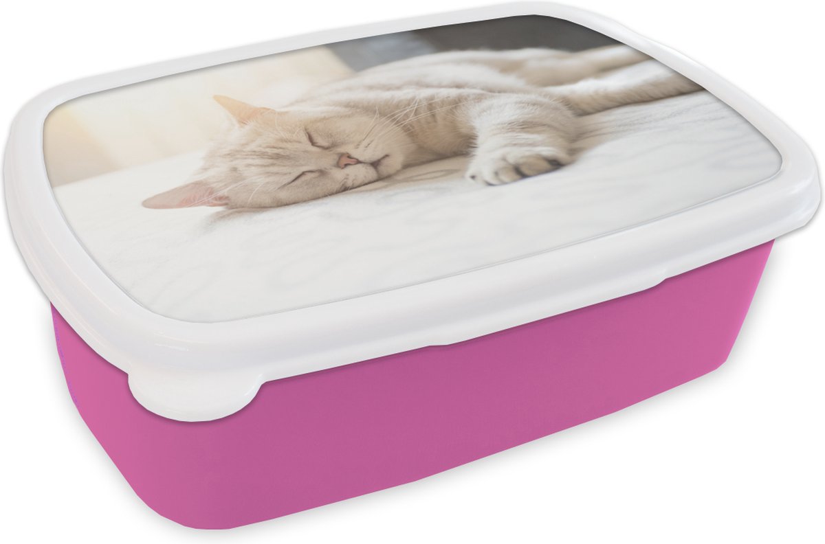 Broodtrommel Roze - Lunchbox - Brooddoos - Kat slaapt op bed - 18x12x6 cm - Kinderen - Meisje