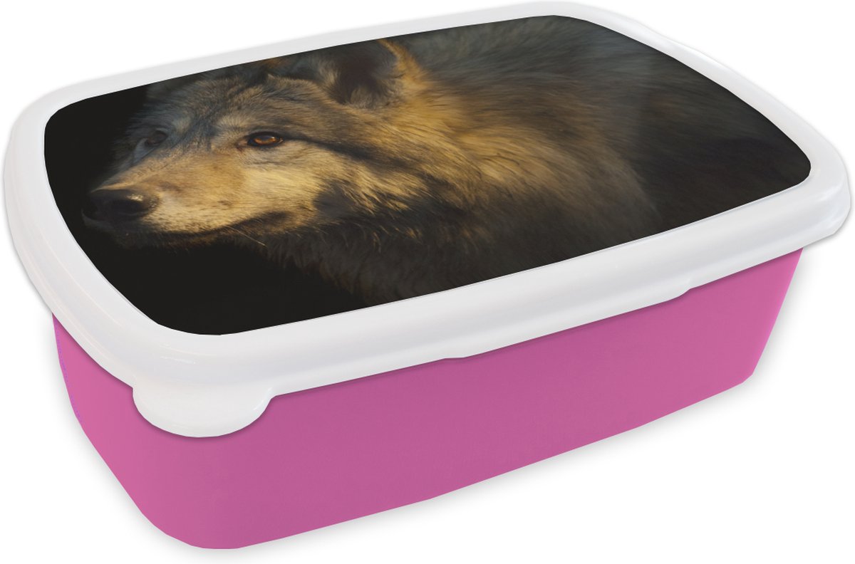 Broodtrommel Roze - Lunchbox - Brooddoos - Wolf - Goud - Zon - 18x12x6 cm - Kinderen - Meisje