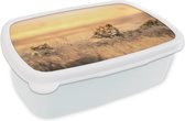 Broodtrommel Wit - Lunchbox - Brooddoos - Leeuwen - Gras - Lucht - 18x12x6 cm - Volwassenen