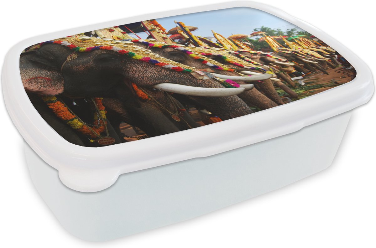 Broodtrommel Wit - Lunchbox - Brooddoos - Olifantenparade - 18x12x6 cm - Volwassenen